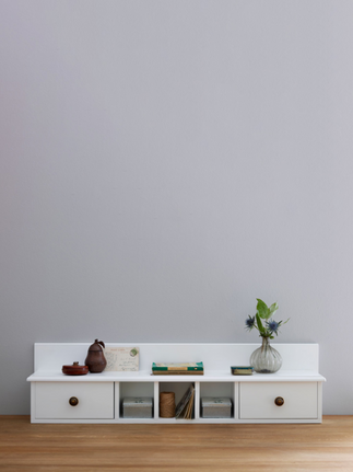 Rochester gallery shelves