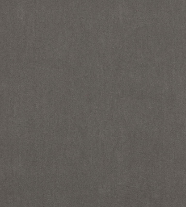 Emile - 04 Pewter