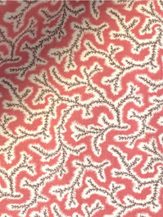 Dulcie 02 - Coral