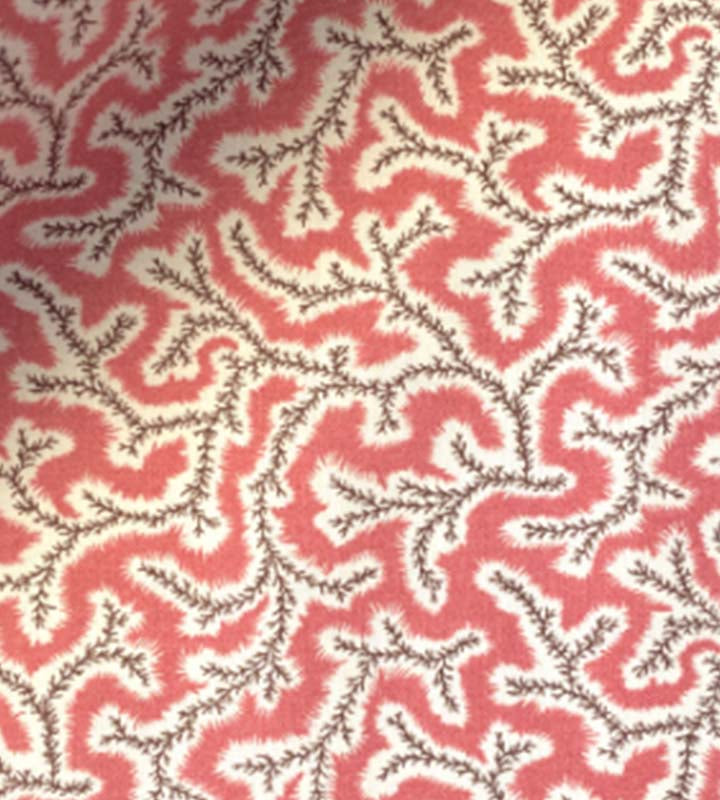Dulcie 02 - Coral