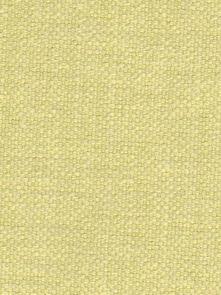 Mimosa 02 - Bamboo