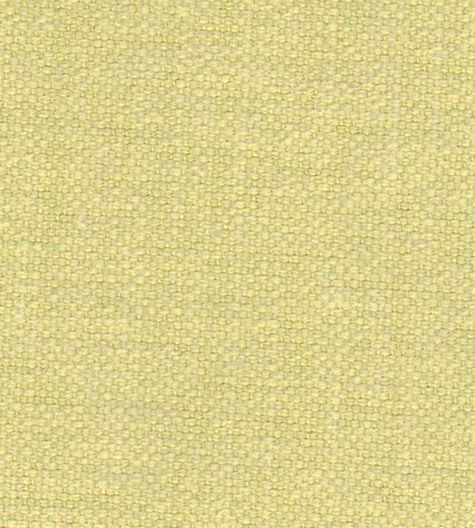 Mimosa 02 - Bamboo