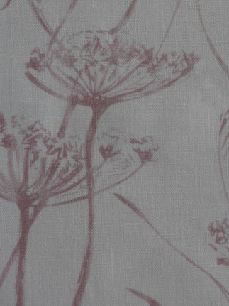 Cowparsley 03 - pink