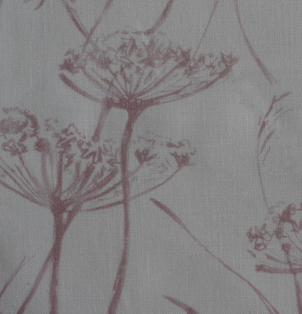 Cowparsley 03 - pink