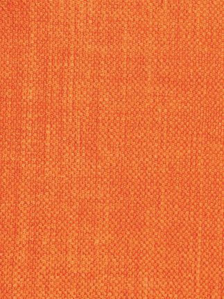 Mimosa 22 - tangerine