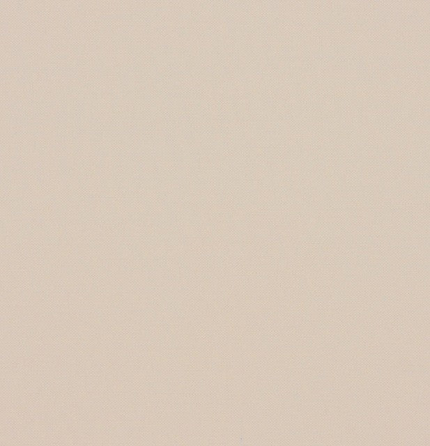 Mimosa 28 - rice paper