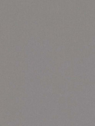 Forenza 08 - grey