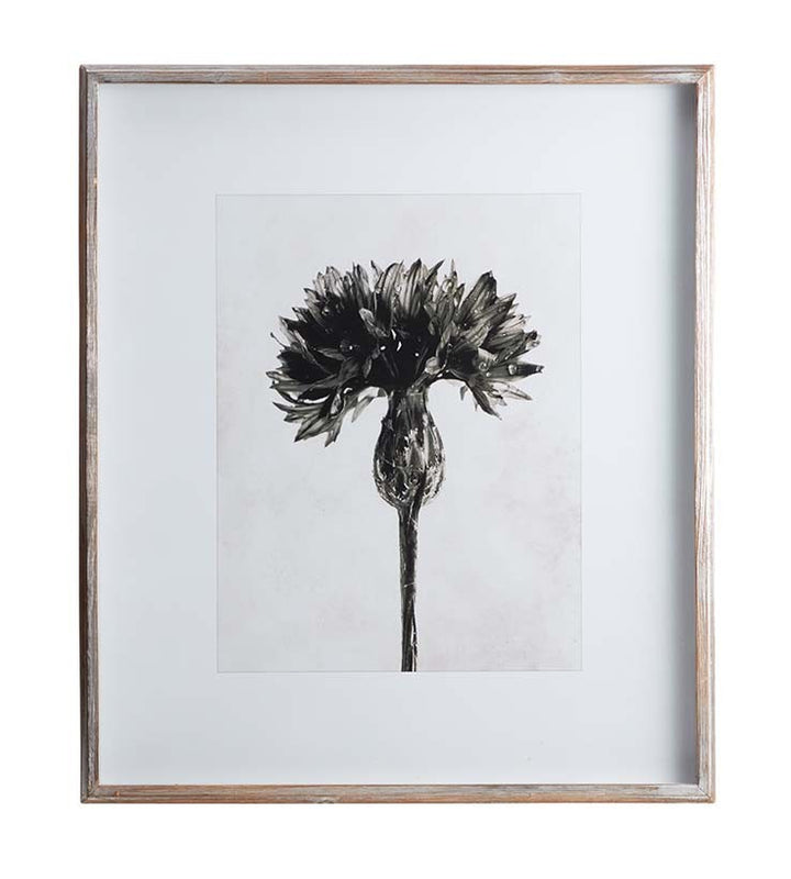 Scottish thistle print