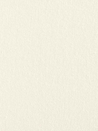 Ivory 02