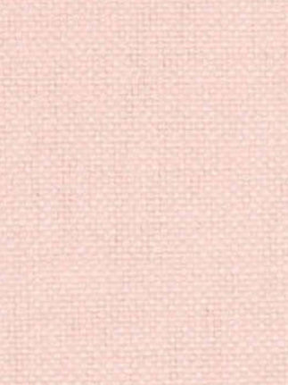 Mimosa 01 - Rose