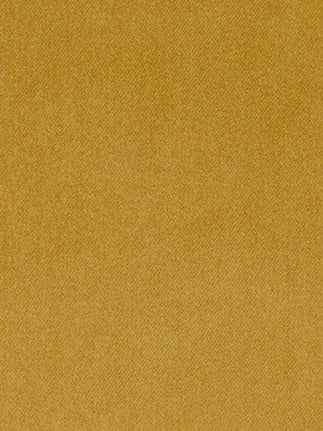 Omega 03 - Mustard