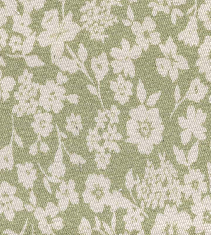 Sugar Plum Daisy 01