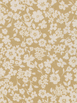 Sugar Plum Daisy 02