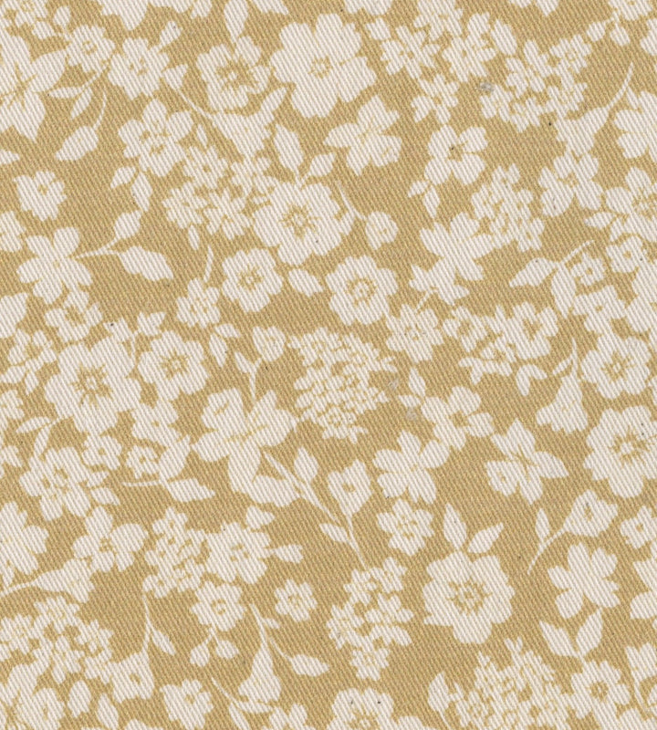 Sugar Plum Daisy 02