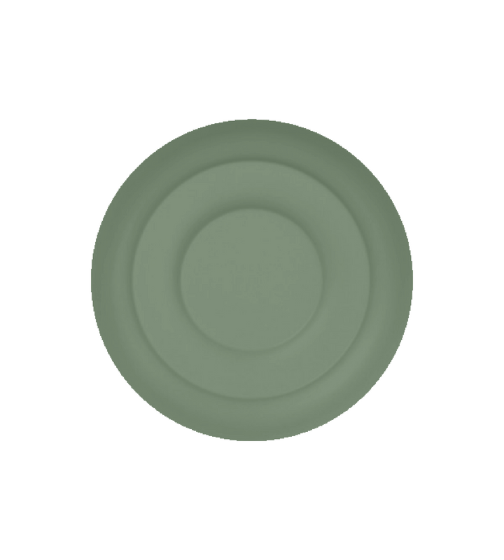 Wild Sage paint